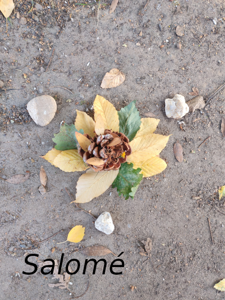 Consulter cet article